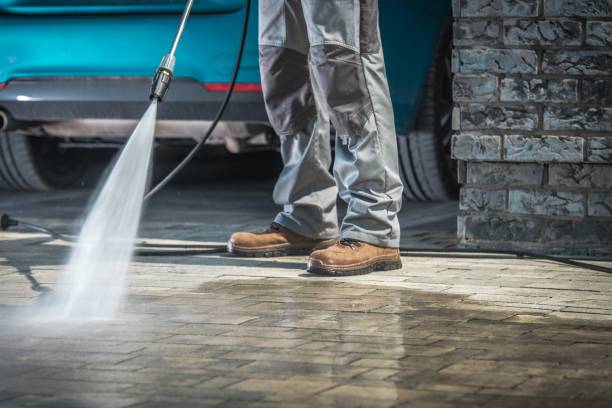Best Gutter Cleaning  in Marlboro Meadows, MD