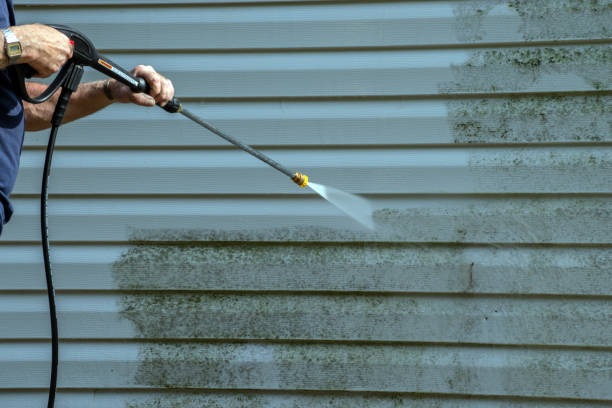Best House Exterior Washing  in Marlboro Meadows, MD